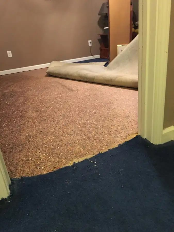 Carpet pad removal revealing water damage during Drying & Dehumidification in Stow